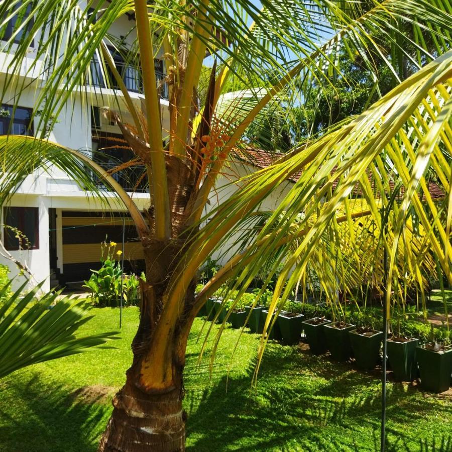 Edelweiss Residence Hikkaduwa Esterno foto